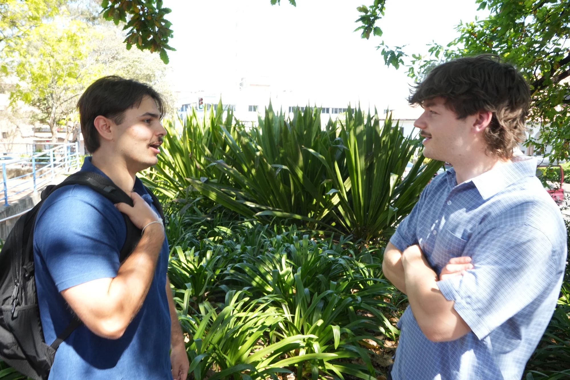 Louie and Shaun, back where they started